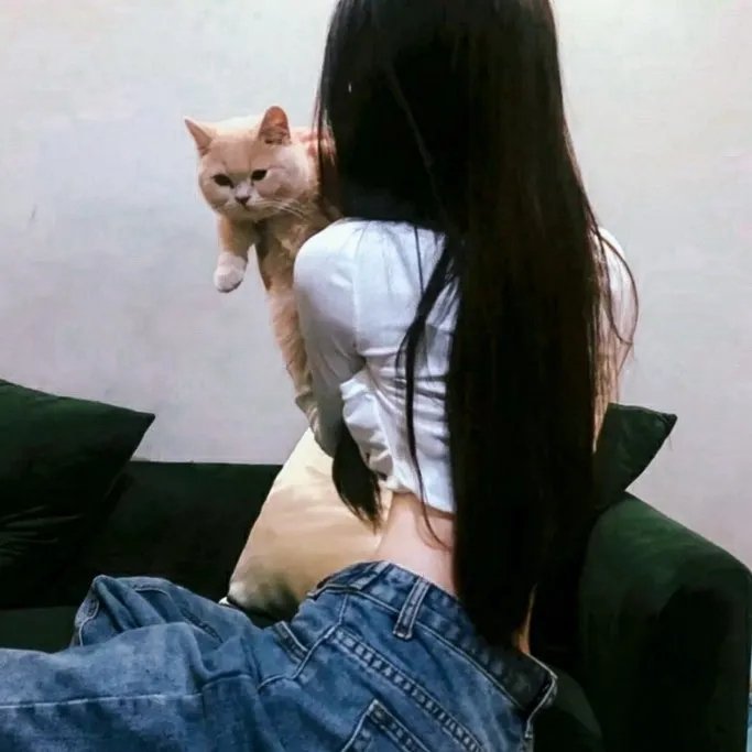 飞出个未来第六季
